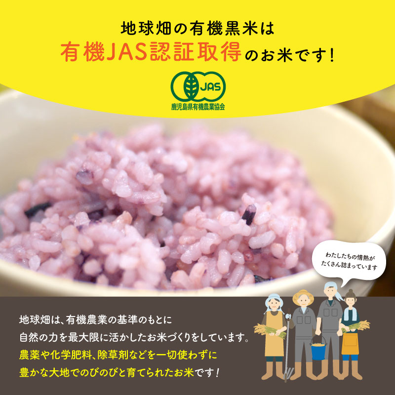 �ϵ�Ȫͭ��JAS