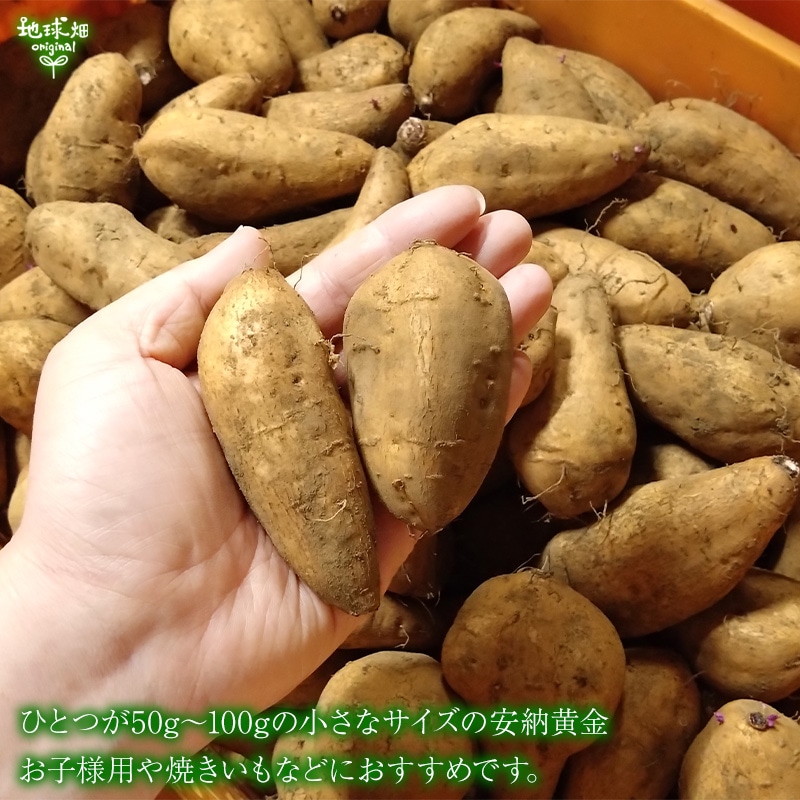 ���Ӥä��ȤϤ뤫
