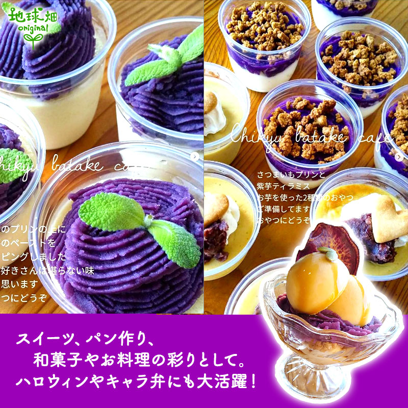 紫芋 S (1本50～100g) 2kg 2026年産 発送期間9月～11月 | さつまいも