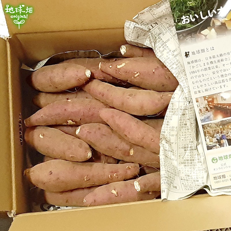 紅はるか S (1個100g未満) 9kg 発送期間9月～3月 | さつまいも