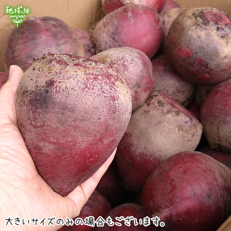 訳あり ビーツ 9kg 冷蔵便 | 箱売り野菜 | 地球畑【公式】オンライン