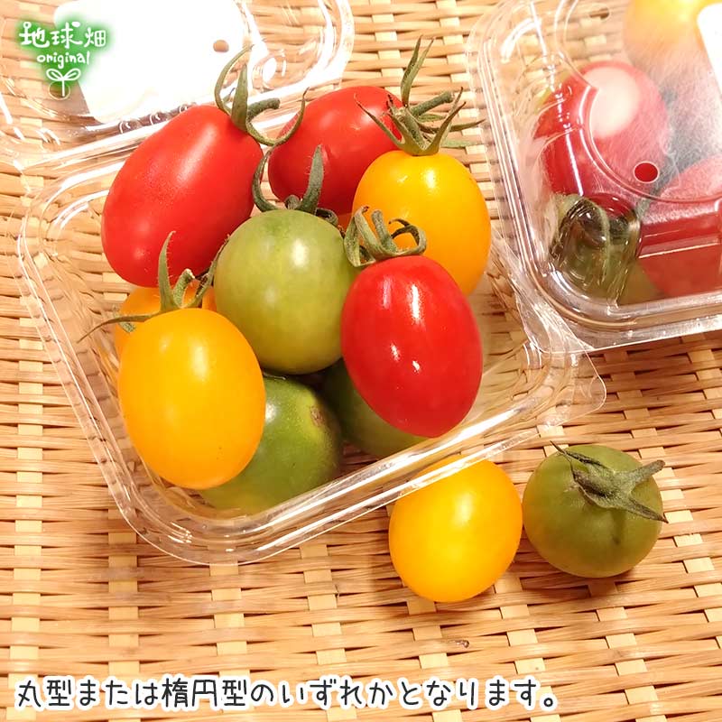 カラーミニトマト 150g×16p 冷蔵便 発送期間6月～7月 | パック売り野菜
