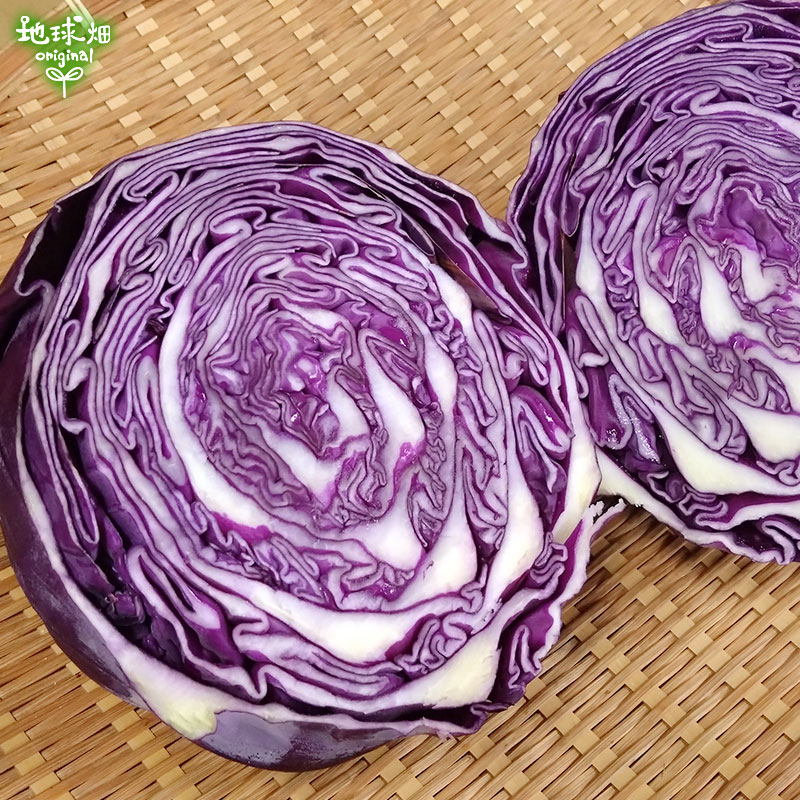 赤キャベツ 約4kg (4～6玉) 紫キャベツ 冷蔵便 発送期間3月～4月 | 箱