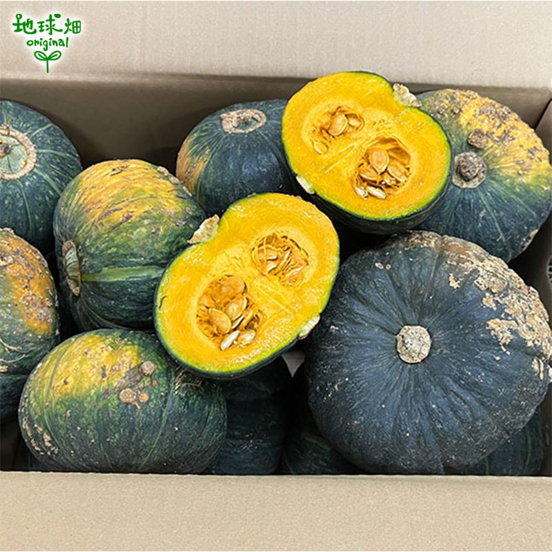 訳あり ミニ南瓜 計16kg ミニかぼちゃ 発送期間7～9月中旬 | 箱売り