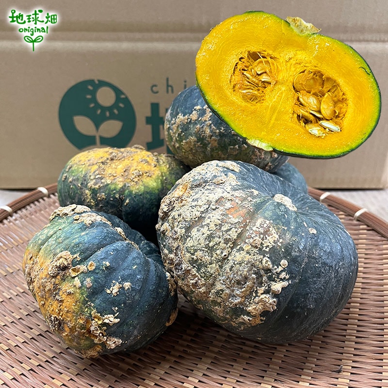 訳あり ミニ南瓜 計4kg ミニかぼちゃ 発送期間7～9月中旬 | 箱売り野菜