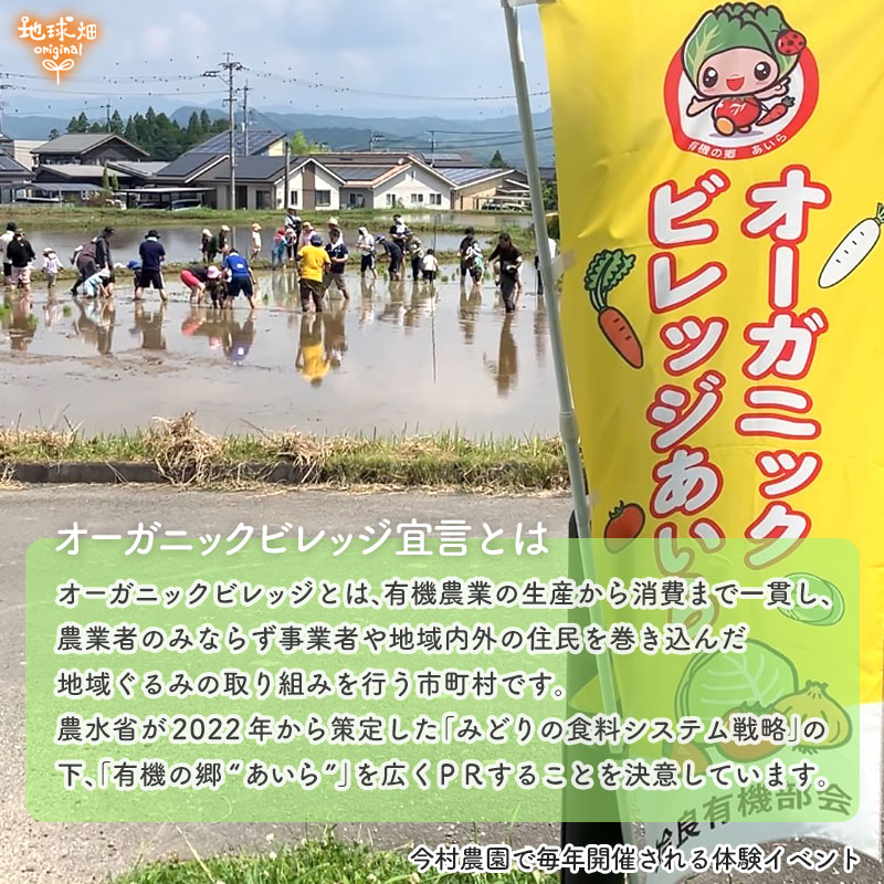 完売ありがとうございました 今村農園の有機人参 MLサイズ 20kg 発送