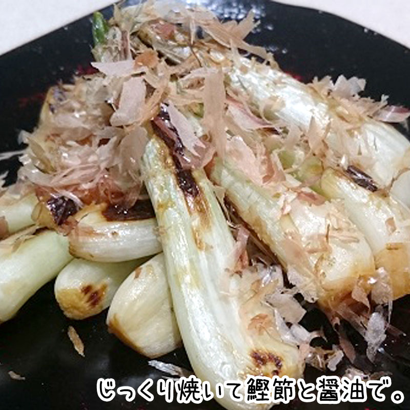 らっきょう 2kg 冷蔵便 発送期間5～6月 | 箱売り野菜 | 地球畑【公式