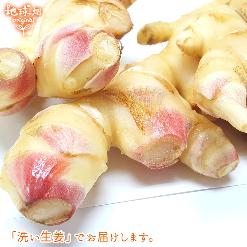 生姜 2kg (2023年産 ひね生姜) 冷蔵便 | 箱売り野菜 | 地球畑【公式