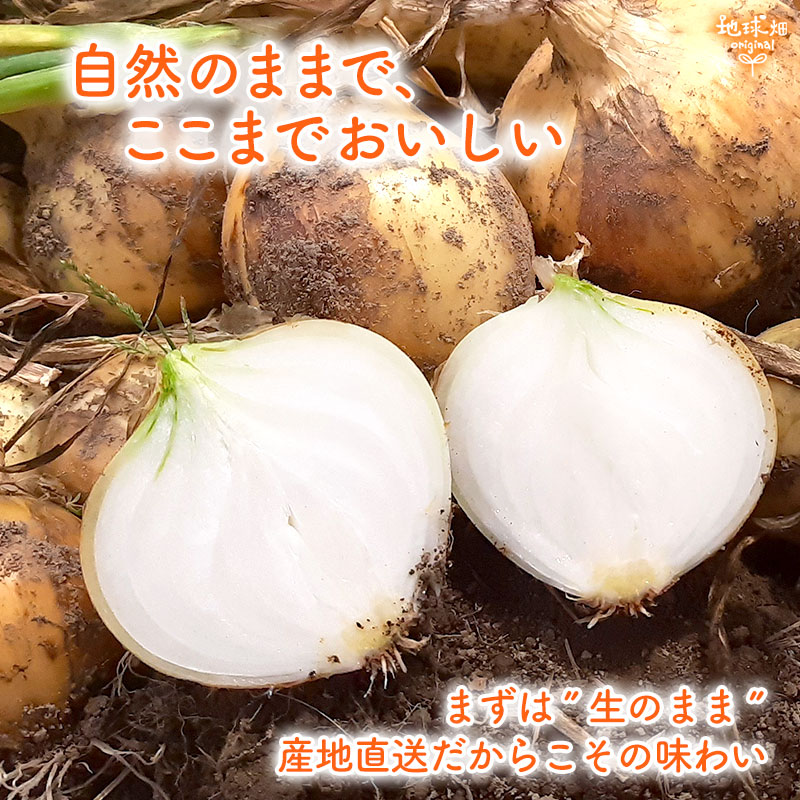 �����Τޤޤ�
