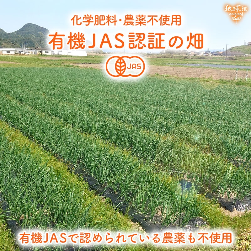 ͭ��JASǧ��