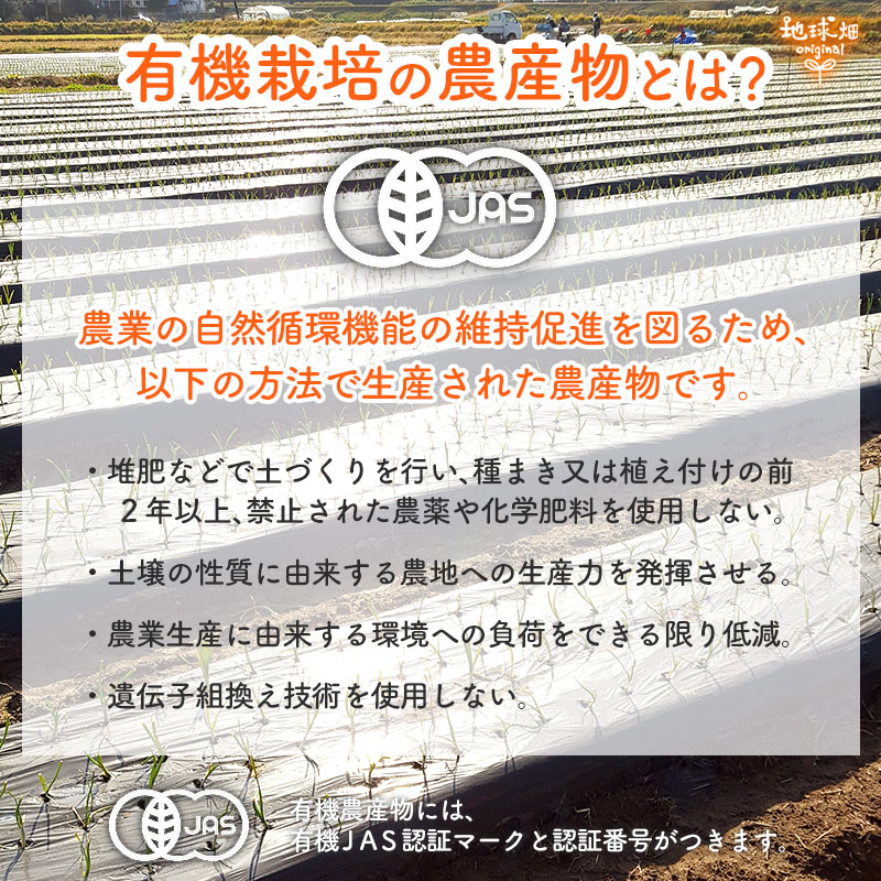今村農園の有機新たまねぎ 5kg 発送期間5月～6月 【産地直送・送料無料