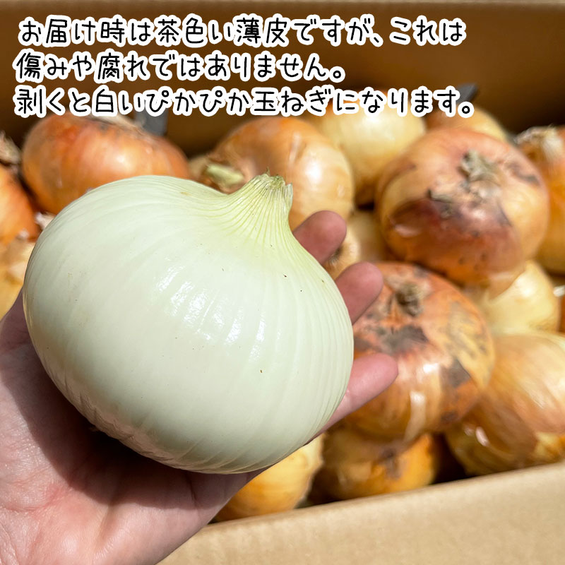 たまねぎ （1玉100～400g） | 箱売り野菜 | 地球畑【公式】オンラインショップ