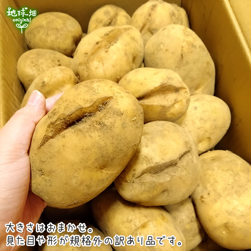 訳あり じゃがいも 9kg 発送期間12月下旬～2月、4～6月 | 箱売り野菜