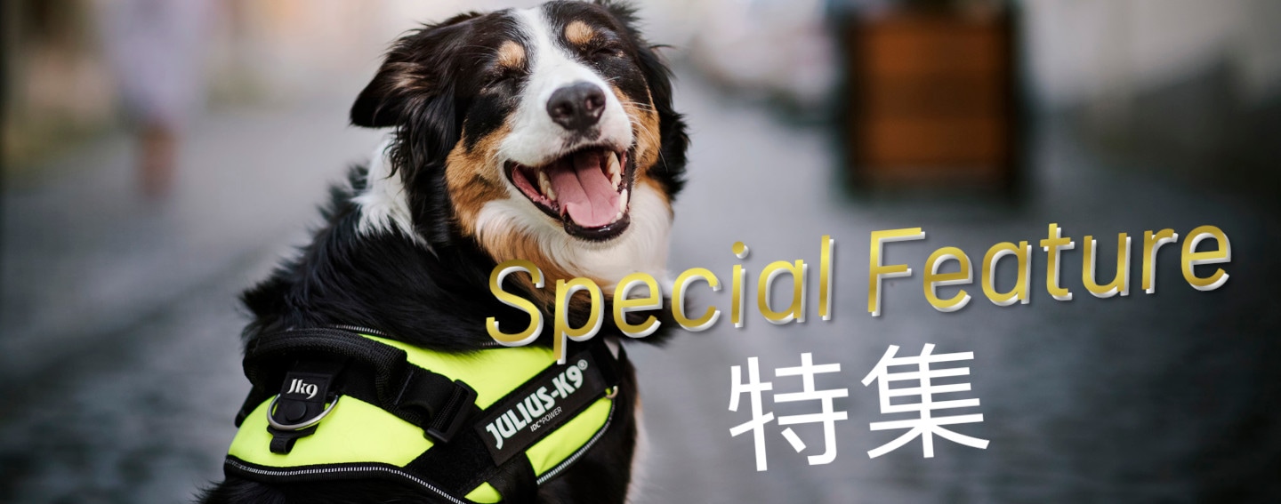 JULIUS-K9 JAPAN |