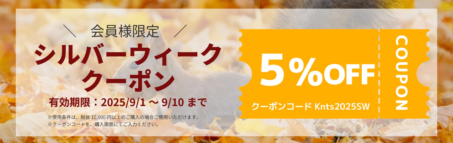 クーポンバナー