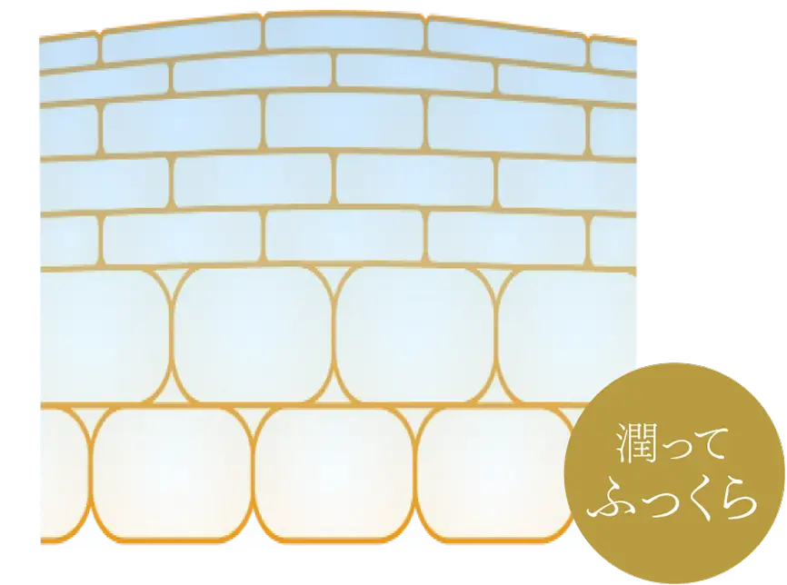 ��äƤդä���