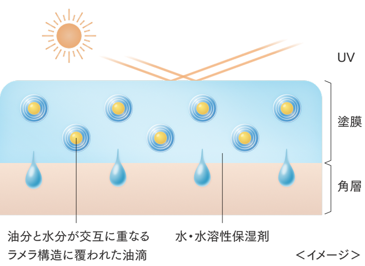 アドバンスト エッセンスデイヴェール塗布イメージ図。油分と水分が交互に重なるラメラ構造に覆われた油滴が含まれた水溶性保湿剤が肌に塗布されており、強力な紫外線から肌を守っている状態。