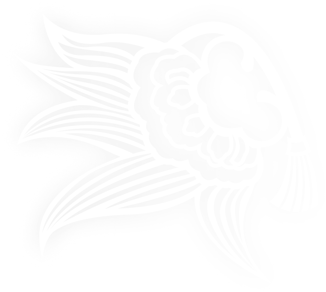 予約】ホリデーギフト b | 限定品 | SENSAI公式オンラインショップ