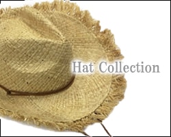 HatCollection