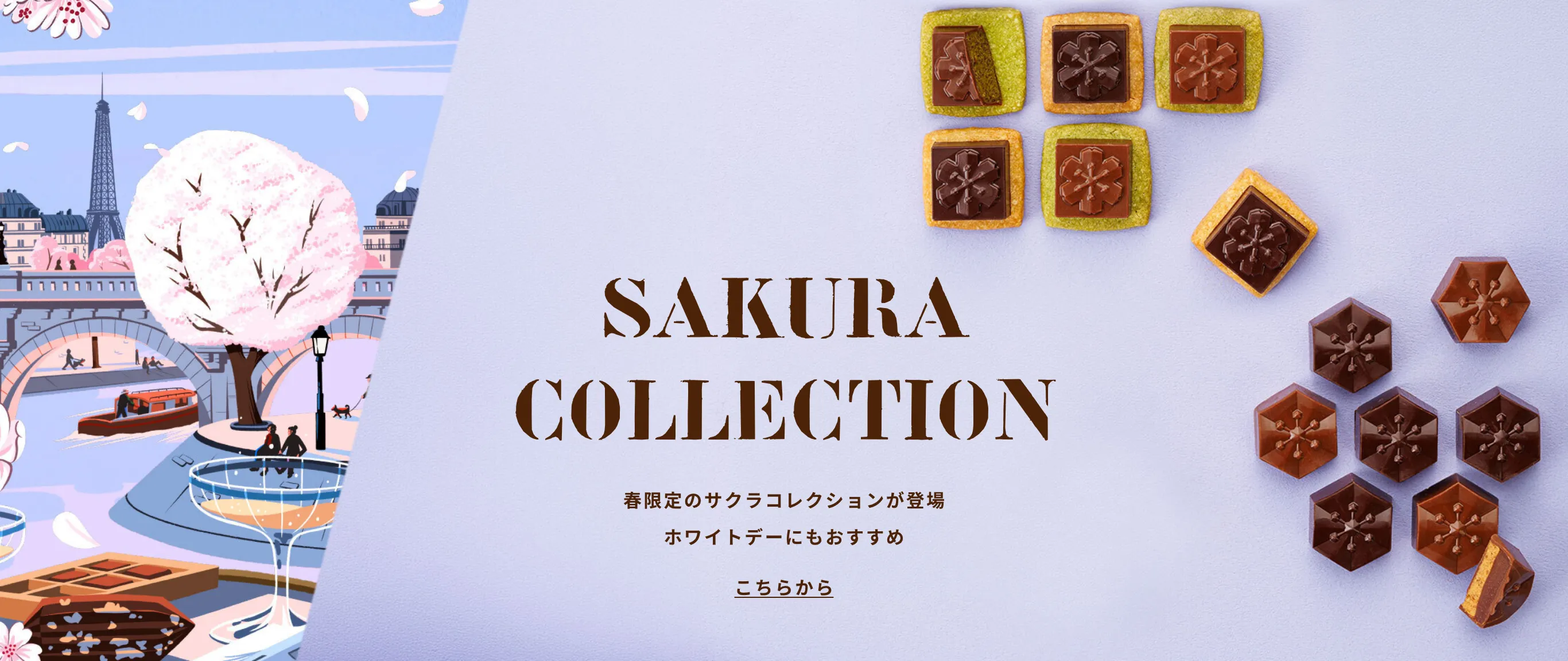 SAKURA COLLECTION