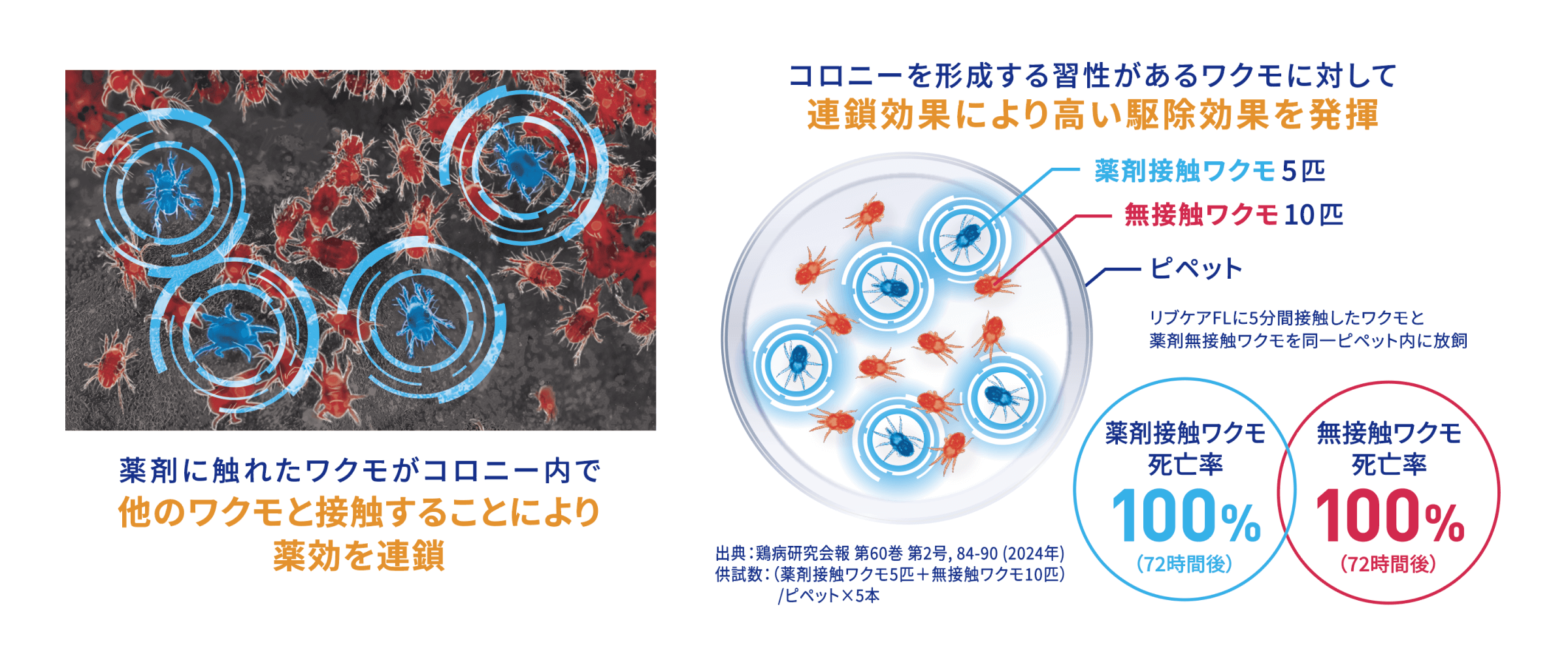 連鎖効果を説明した図
