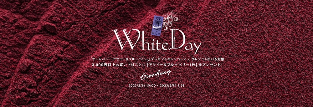 LLMP White Day Сʥ֥롼٥꡼ˡ ץ쥼ȥڡ