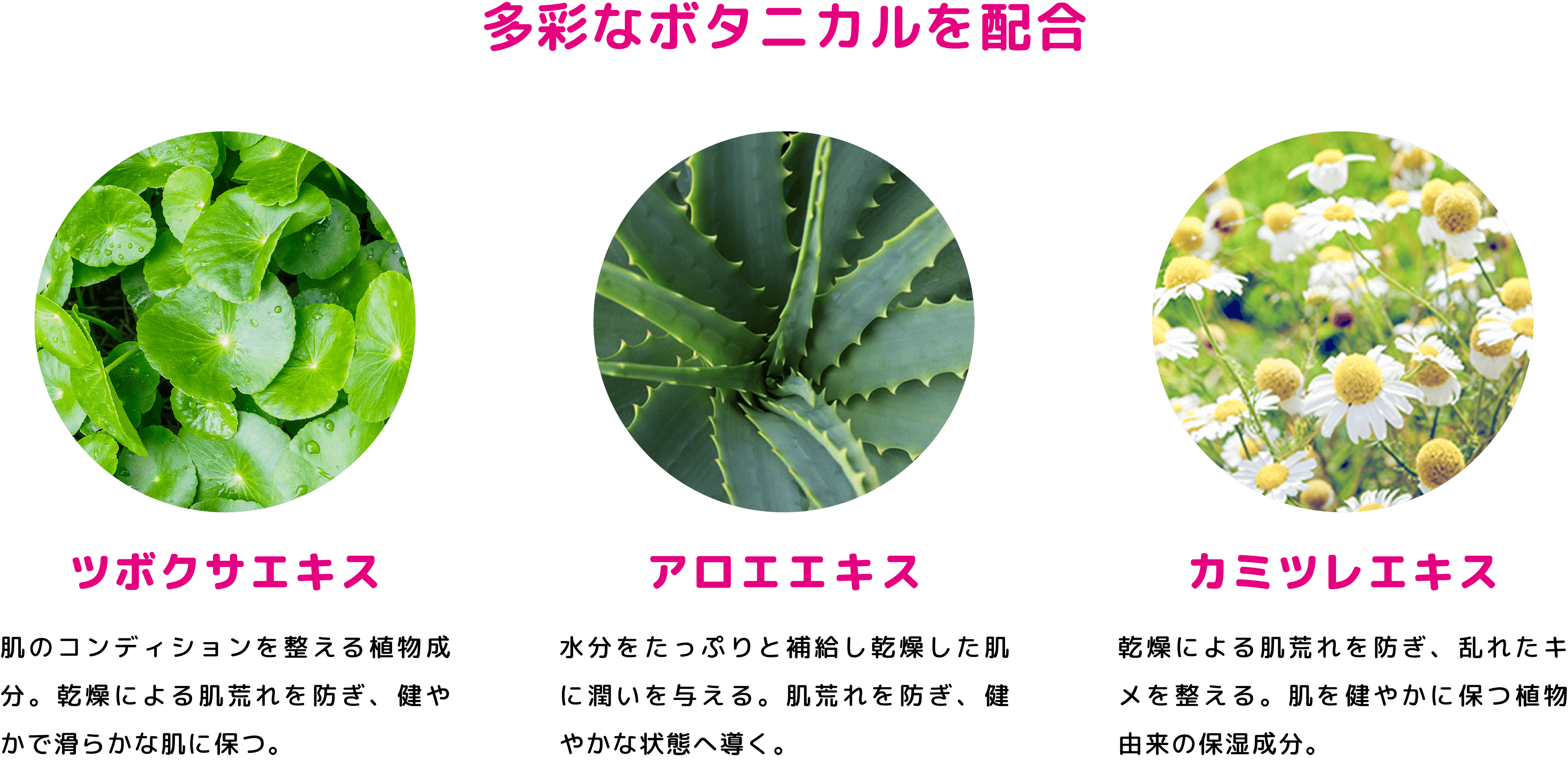 多彩なボタニカルを配合