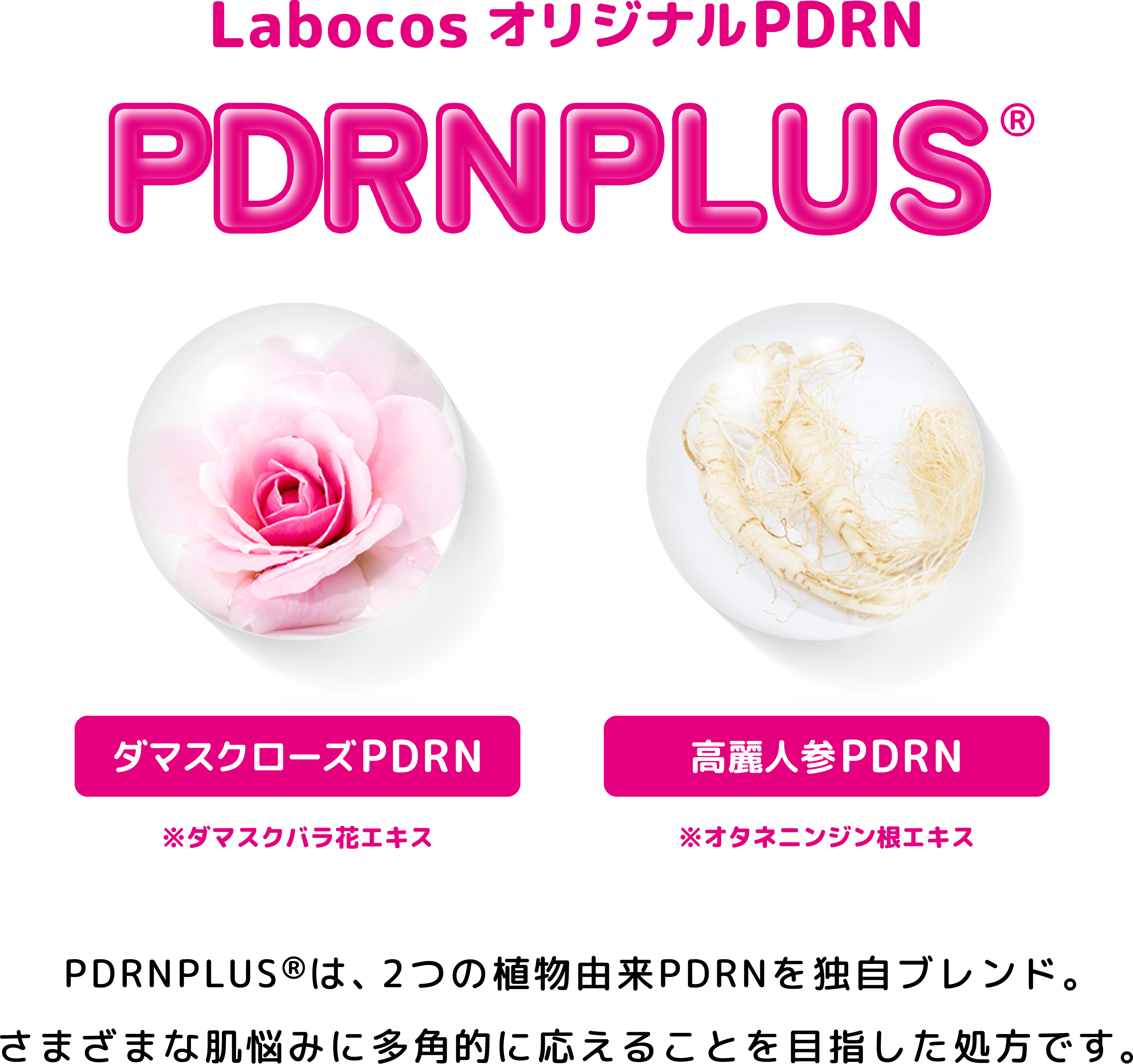 Labocos オリジナルPDRN
