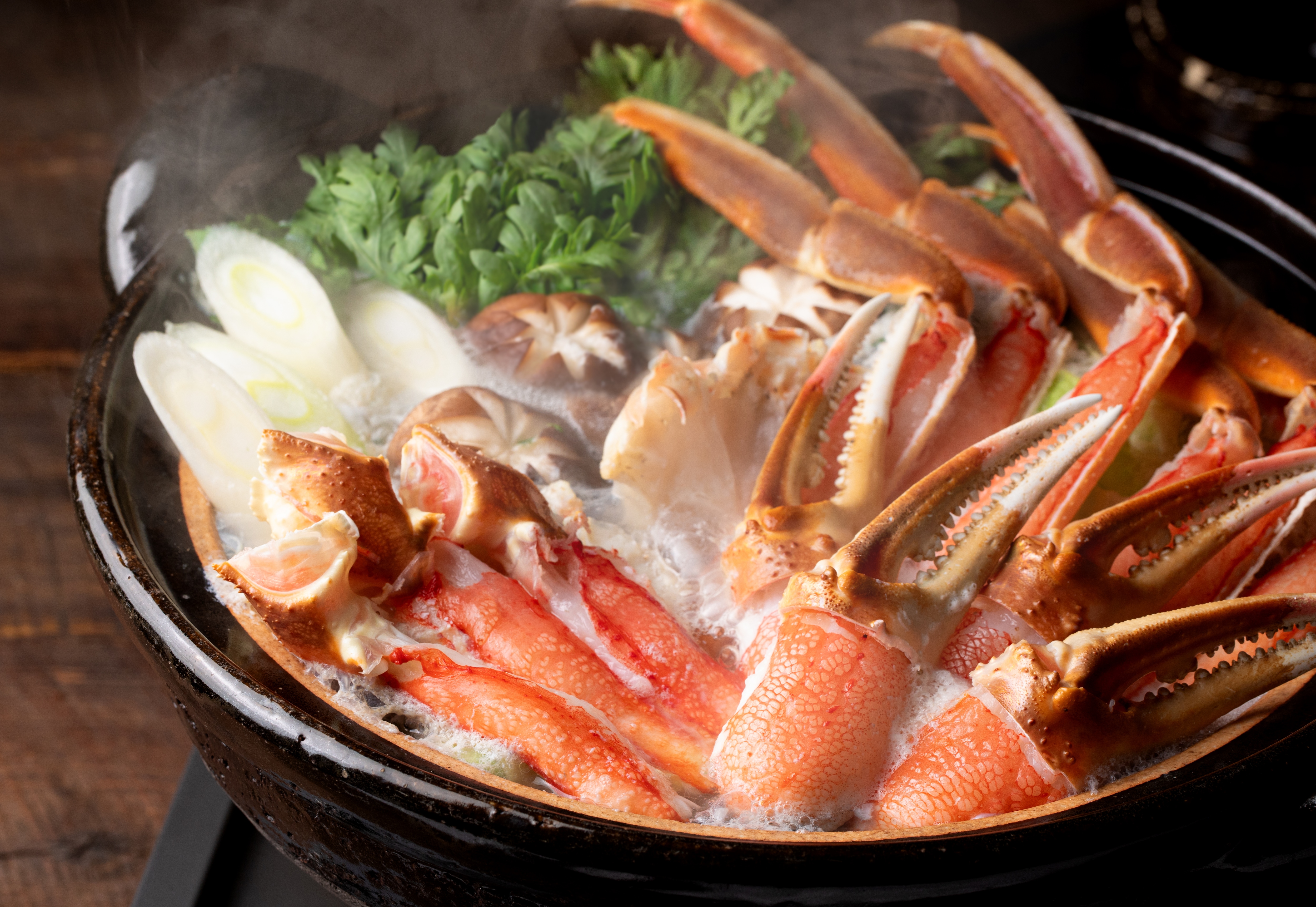 今月のおすすめ