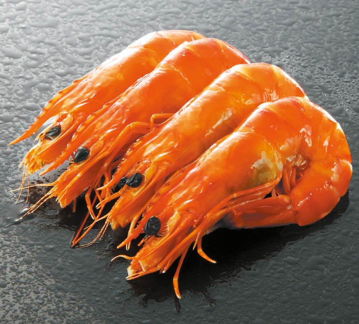 浜汐海老