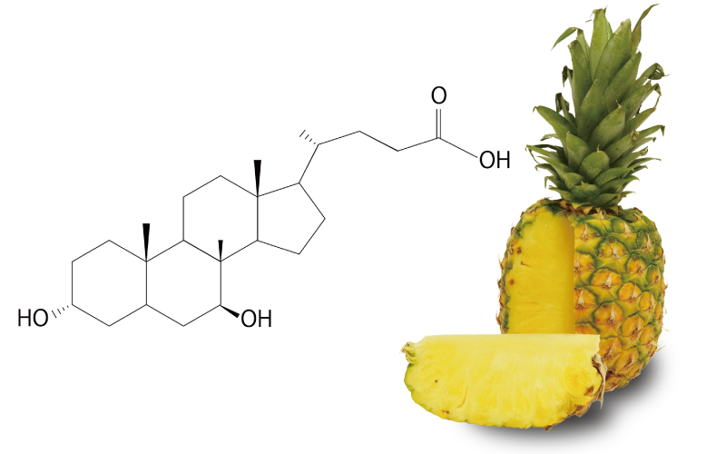 天然成分のイメージ画像