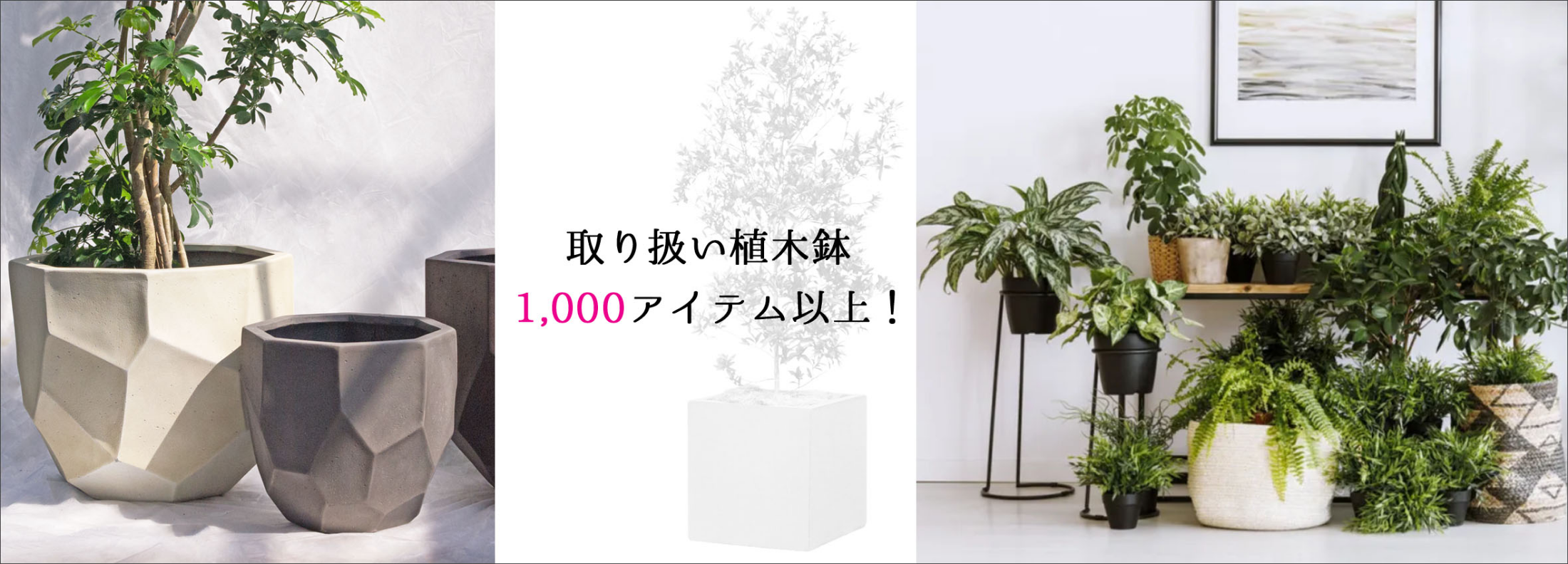 取り扱い植木鉢1,000アイテム以上！
