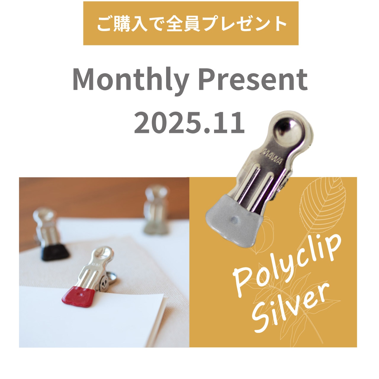 今月のプレゼント