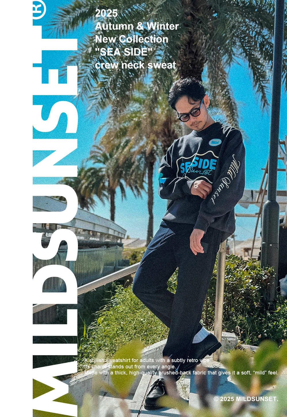 mv_02_sp.jpg?v=1766361600084