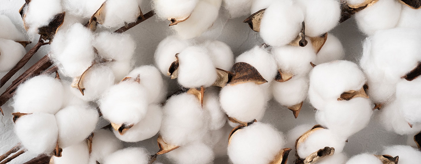 vol.03 レジェンダ誕生秘話 | 今治タオルの村上パイル公式オンライン