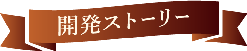 開発ストーリー