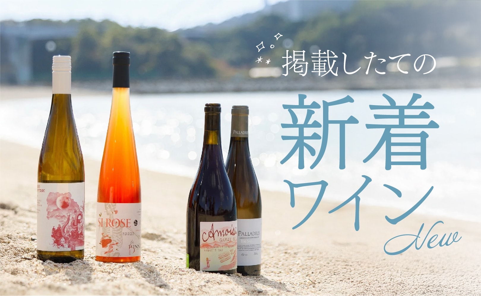ワインと人を繋ぐ｜amitywine(アミティワイン)公式通販