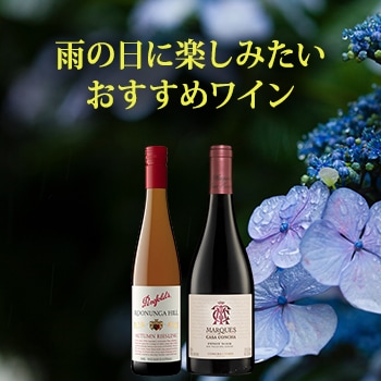 梅雨にぴったり
