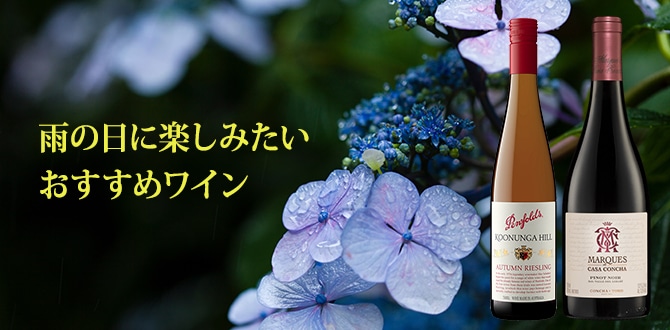 梅雨にぴったり