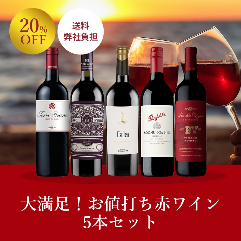 送料弊社負担＞＜セット特価＞大満足！お値打ち赤ワイン5本セット