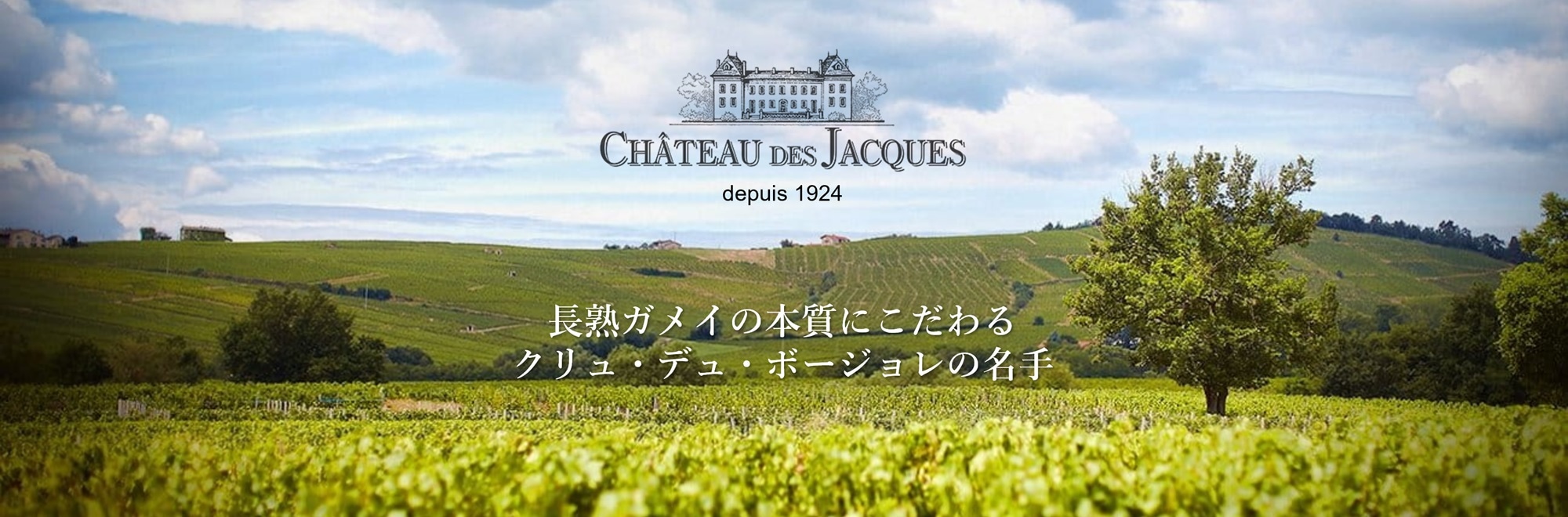 シャトー・デ・ジャック特集mv画像
