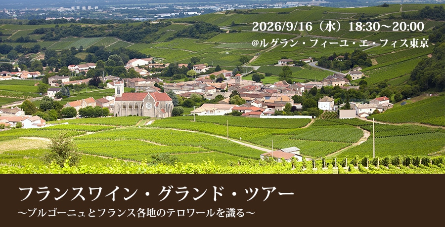 Your Cellar フランスワイン・グランド・ツアー 〜ブルゴーニュと