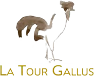 ドメーヌ・ド・ラ・トゥール・ガリュスロゴ