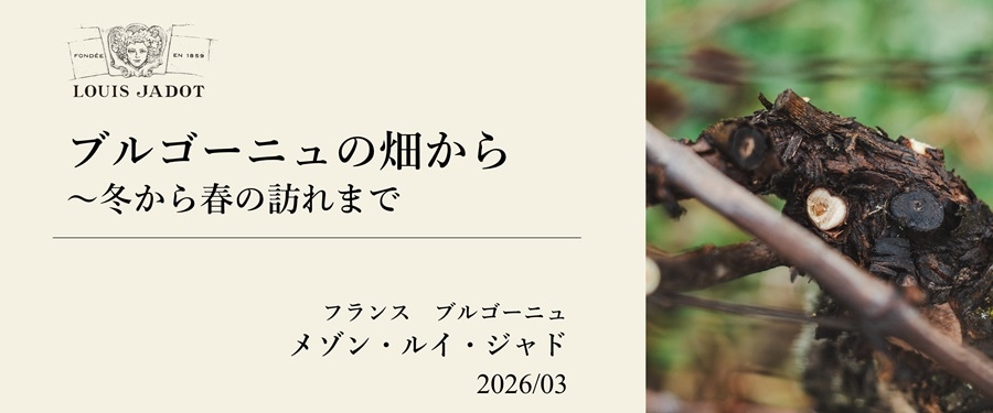 ワイナリー便り　－2026年3月－トップ画像