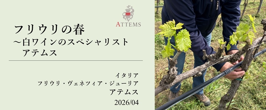 ワイナリー便り　－2026年４月－トップ画像
