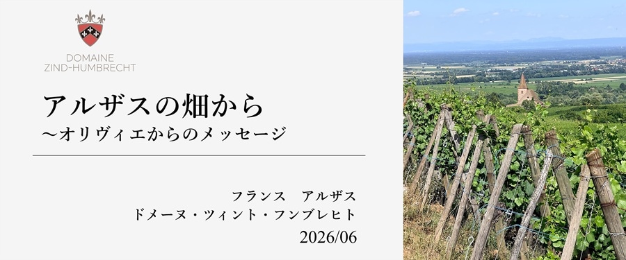 ワイナリー便り　－2026年6月－トップ画像
