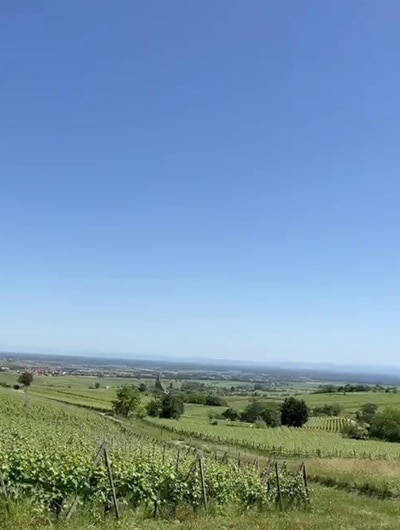 遠方の景色