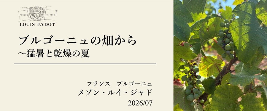 ワイナリー便り　－2026年7月－トップ画像