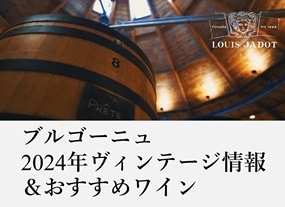 ブルゴーニュ2024年ヴィンテージ情報＆おすすめワイン