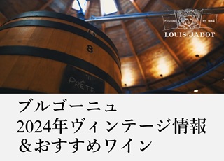 ブルゴーニュ2024年ヴィンテージ情報＆おすすめワイン